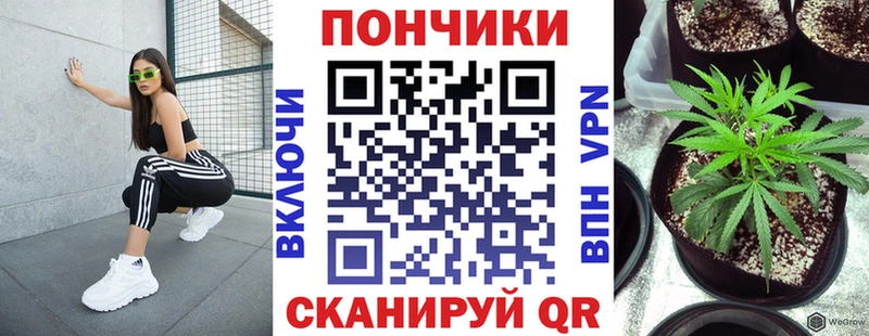 Шишки марихуана план Купить где Неман